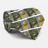 De Santiago de Compostela, Spanien, Muschel EL Krawatte (Gerollt)