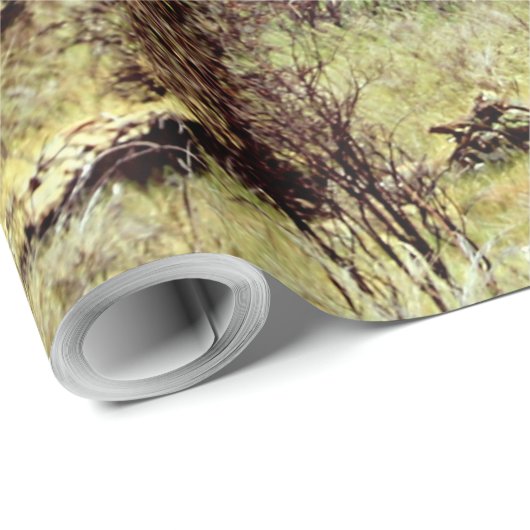 De Santiago de Compostela, Spanien, Zeichen EL Geschenkpapier (Rolleneckpunkt)