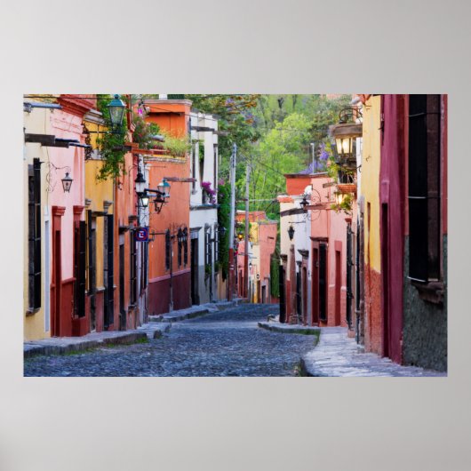 De Sollano Street, San Miguel De Allende Poster (Vorne)