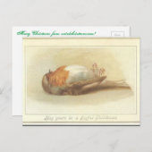 Dead Bird Weihnachtskarte Feiertagspostkarte (Vorne/Hinten)