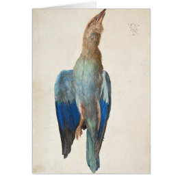 Dead Blue Roller von Albrecht Durer