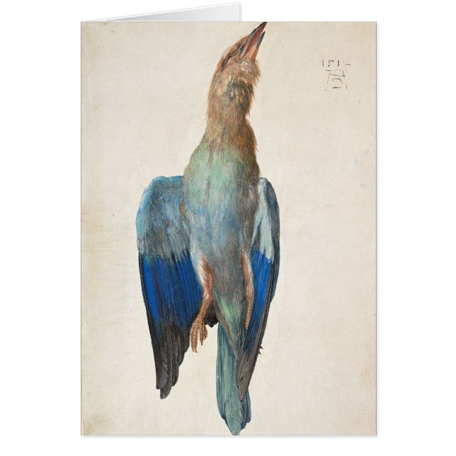 Dead Blue Roller von Albrecht Durer (Vorne)
