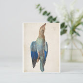 Dead Blue Roller von Albrecht Durer Postkarte (Stehend Vorderseite)