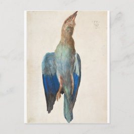 Dead Blue Roller von Albrecht Durer Postkarte