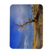 Dead Camel Thorn (Acacia Erioloba) Tree Magnet (Vertikal)