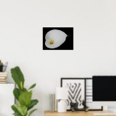 Dead Drop White Arum Lily Poster (Heimbüro)