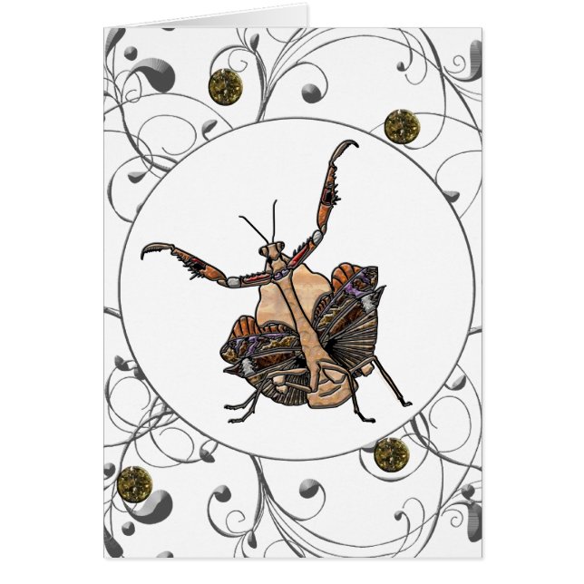 Dead Leaf Mantis (Vorne)