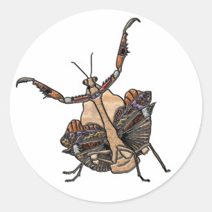 Dead Leaf Mantis Runder Aufkleber