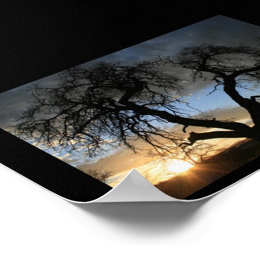 Dead Tree Sunset Poster (Ecke)