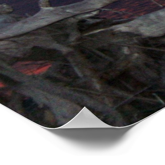 Dead Tree Sunset, S Cyr Poster (Ecke)