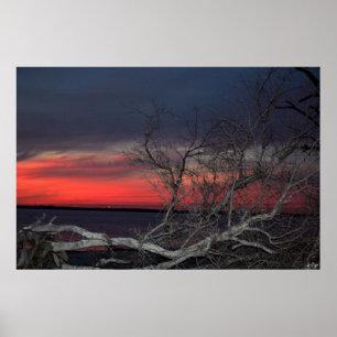 Dead Tree Sunset, S Cyr Poster