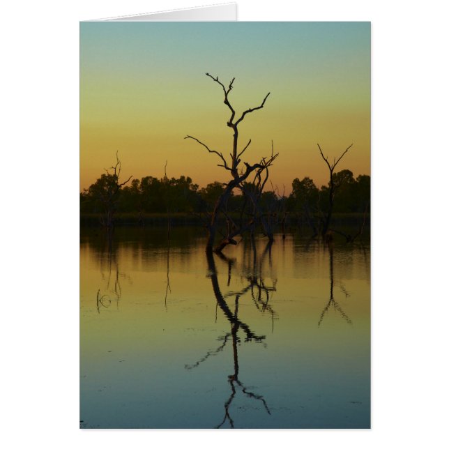 Dead trees reflected in Lily Creek Lagoon, dawn (Vorne)