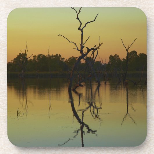 Dead trees reflected in Lily Creek Lagoon, dawn Untersetzer (Vorderseite)