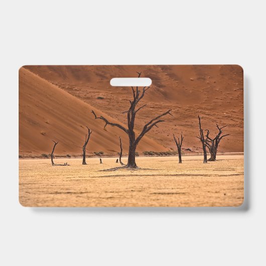 Dead Vlei, Namibia Ausweis (Vorderseite)