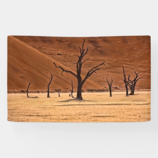 Dead Vlei, Namibia Banner (Horizontal)