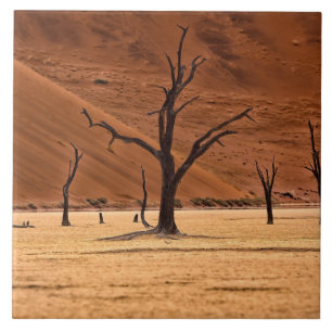 Dead Vlei, Namibia Fliese