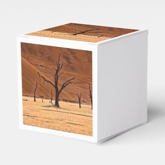 Dead Vlei, Namibia Geschenkschachtel (Vorderseite)