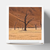 Dead Vlei, Namibia Geschenkschachtel (Oben)