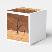 Dead Vlei, Namibia Geschenkschachtel (Rückseite)