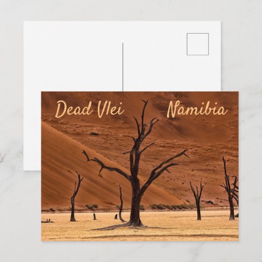 Dead Vlei Namibia Landschaft Foto mit Text Postkarte (Vorne/Hinten)