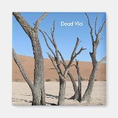 Dead Vlei, Namibia Magnet (Vorne)