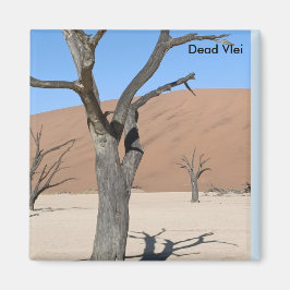 Dead Vlei, Namibia Magnet