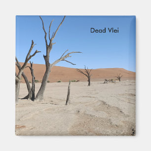 Dead Vlei, Namibia Magnet