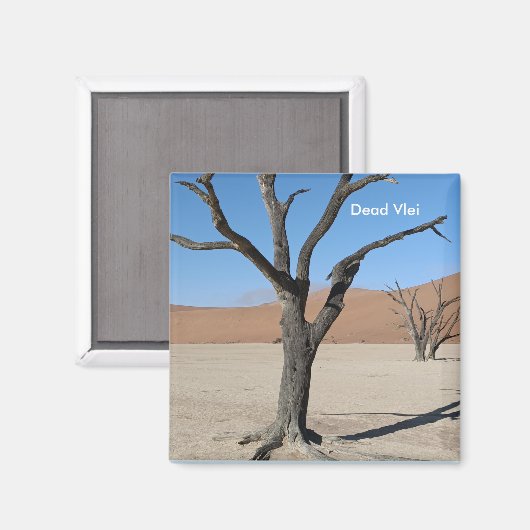 Dead Vlei, Namibia Magnet (Vorderseite/Rückseite)