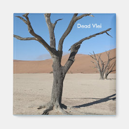 Dead Vlei, Namibia Magnet
