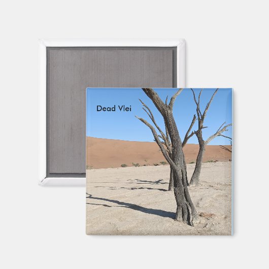 Dead Vlei, Namibia Magnet (Vorderseite/Rückseite)