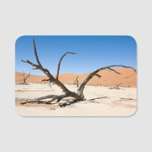 Dead Vlei, Namibia Namensschild