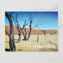 Dead Vlei, Namibia Postcard