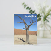 Dead Vlei, Namibia Postcard Postkarte (Stehend Vorderseite)