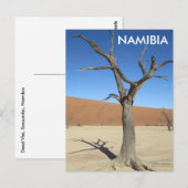 Dead Vlei, Namibia Postcard Postkarte (Vorne/Hinten)