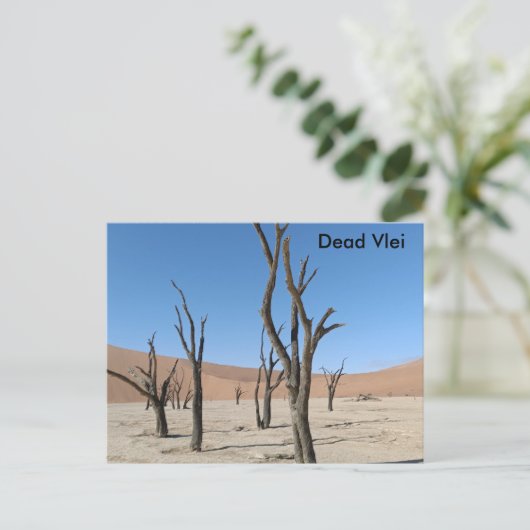 Dead Vlei, Namibia Postcard Postkarte (Stehend Vorderseite)