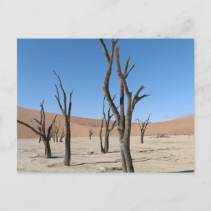 Dead Vlei, Namibia Postcard Postkarte