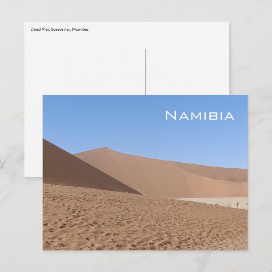 Dead Vlei, Namibia Postcard Postkarte (Vorne/Hinten)