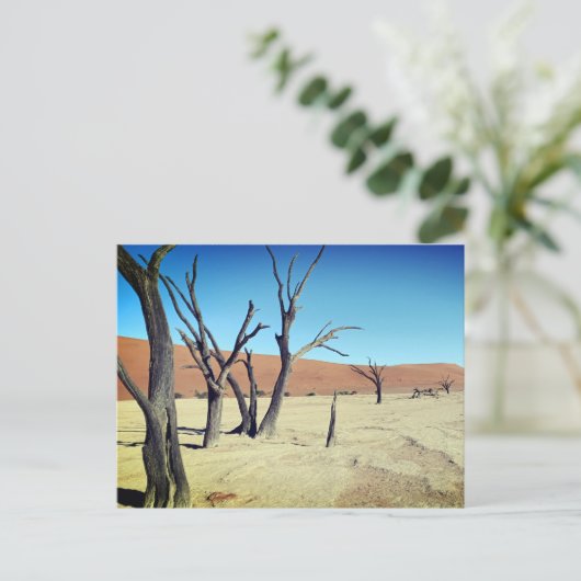 Dead Vlei, Namibia Postcard Postkarte (Stehend Vorderseite)