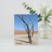 Dead Vlei, Namibia Postcard Postkarte (Stehend Vorderseite)