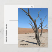 Dead Vlei, Namibia Postcard Postkarte (Vorne/Hinten)