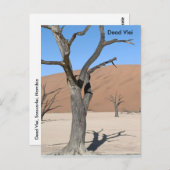 Dead Vlei, Namibia Postcard Postkarte (Vorne/Hinten)