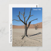 Dead Vlei, Namibia Postcard Postkarte (Vorne/Hinten)