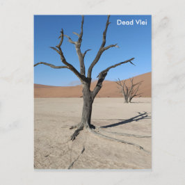 Dead Vlei, Namibia Postcard Postkarte