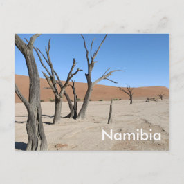 Dead Vlei, Namibia Postcard Postkarte