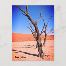 Dead Vlei, Namibia Postcard Postkarte