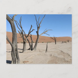 Dead Vlei, Namibia Postcard Postkarte