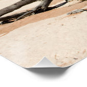 Dead Vlei, Namibia Poster (Ecke)