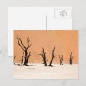 Dead Vlei, Namibia Postkarte (Vorne/Hinten)