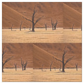 Dead Vlei, Namibia Stoff (Nahaufnahme)