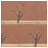 Dead Vlei, Namibia Stoff (Nahaufnahme)